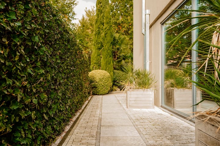 Foto 10 van Boswinde 47