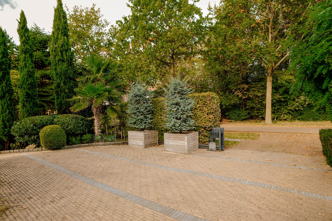 Photo 13 of Boswinde 47
