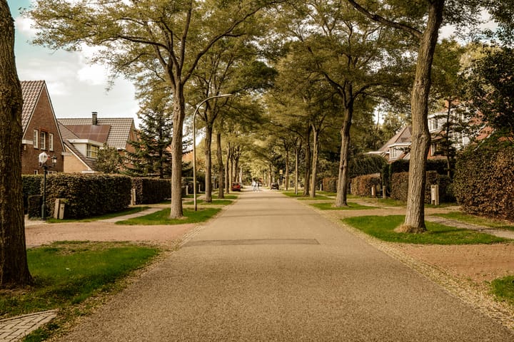 Foto 131 van Boswinde 47