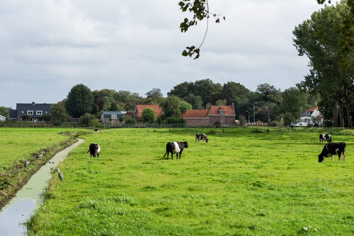 Foto 21 van Leonard Springerlaan 119