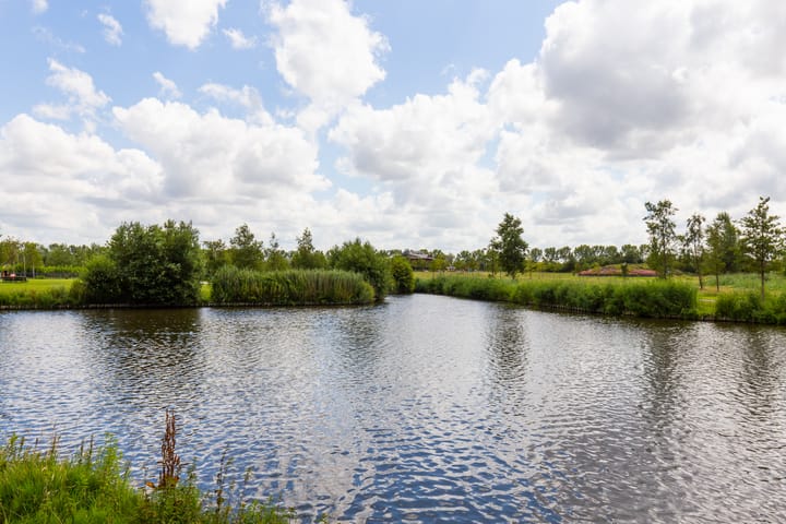 Foto 22 van Leonard Springerlaan 119