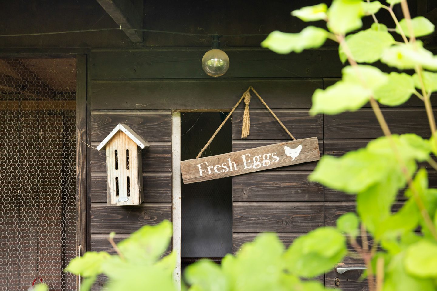 Foto 74 van Burgemeester de Bruïnelaan 1-E