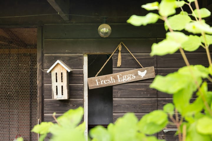 Photo 74 of Burgemeester de Bruïnelaan 1-E