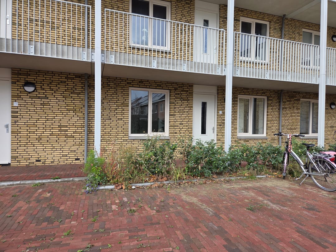 Foto 2 van Singel 376