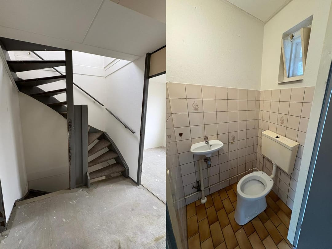 Foto 8 van Akkerdistel 71