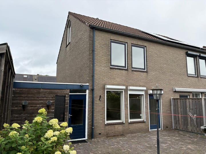 Foto 14 van Akkerdistel 71