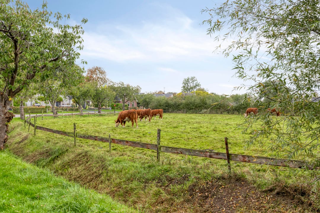 Foto 41 van Brinkweg 9