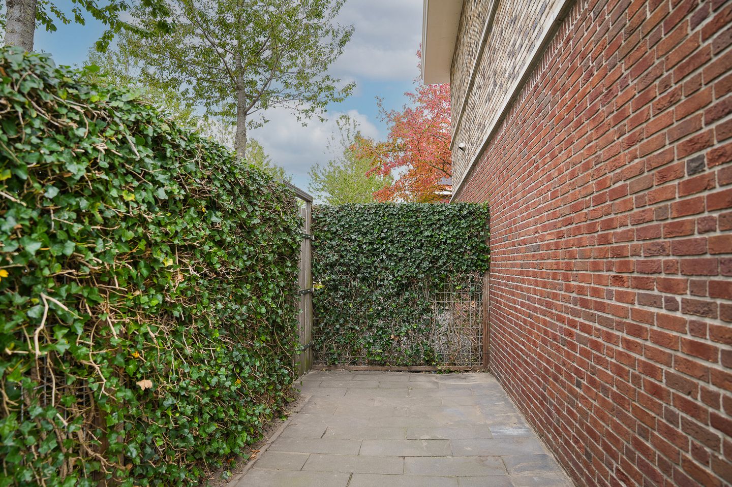 Foto 49 van Grutto 47