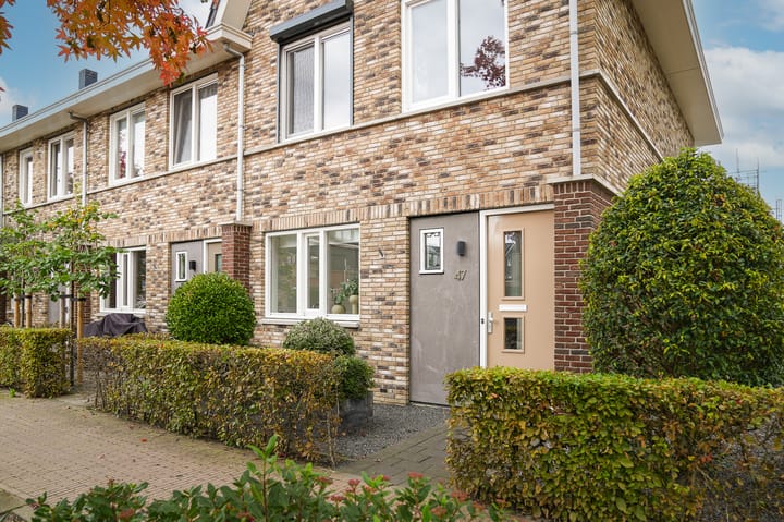 Foto 50 van Grutto 47