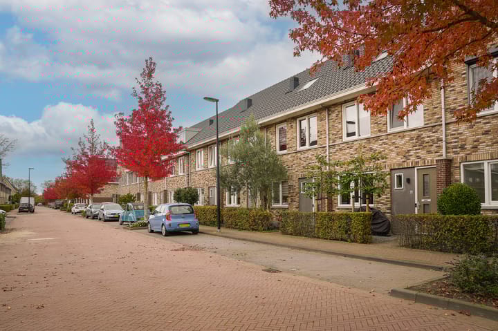 Foto 55 van Grutto 47