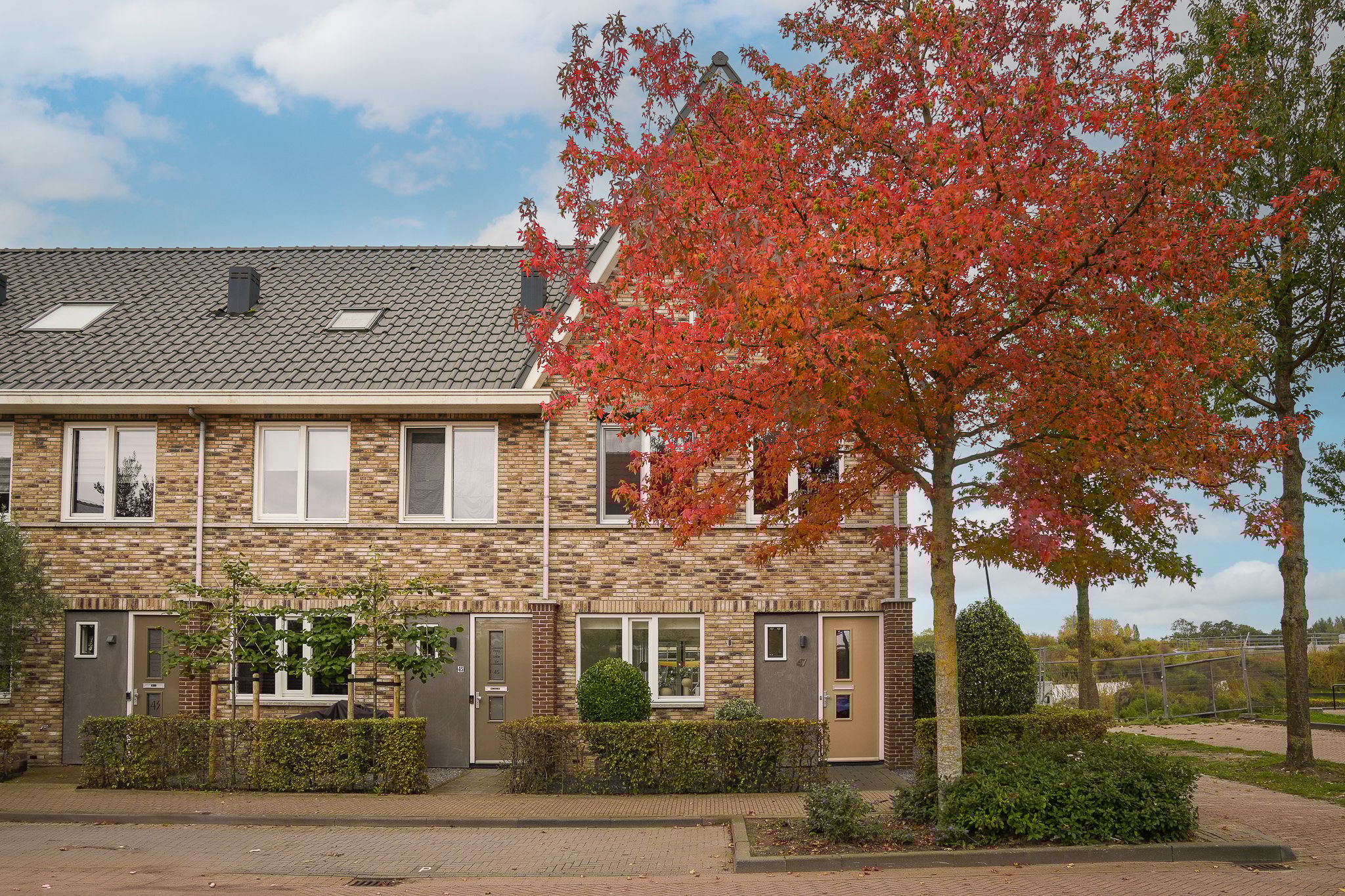 Foto 54 van Grutto 47