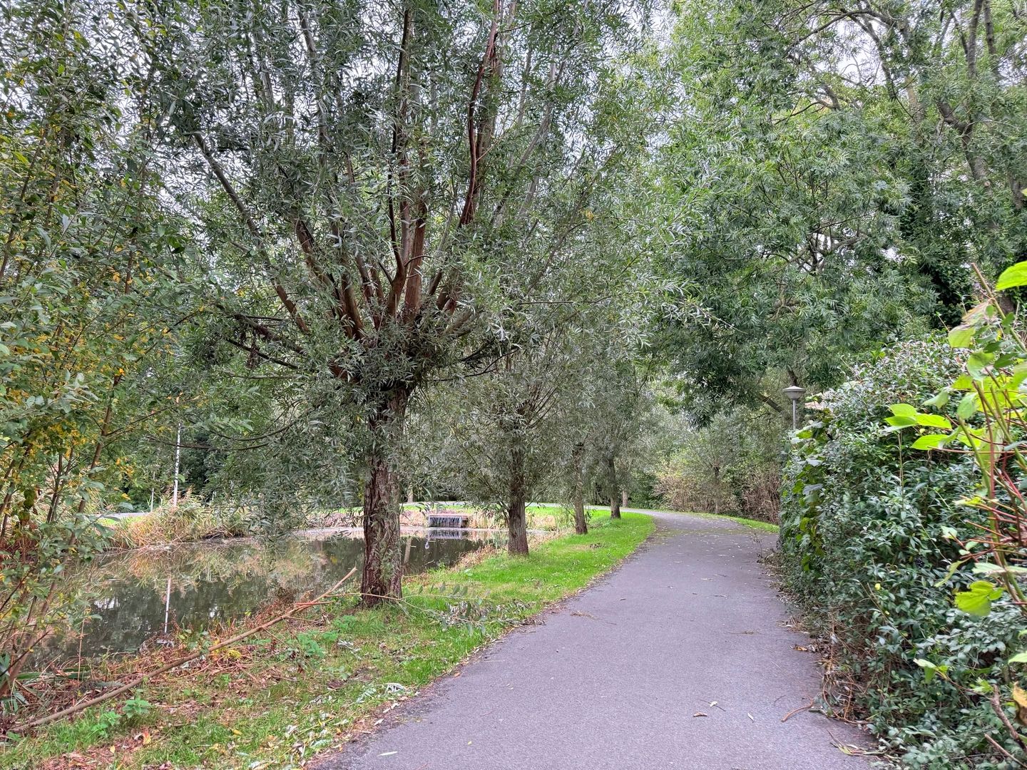 Foto 44 van Loevestein 53