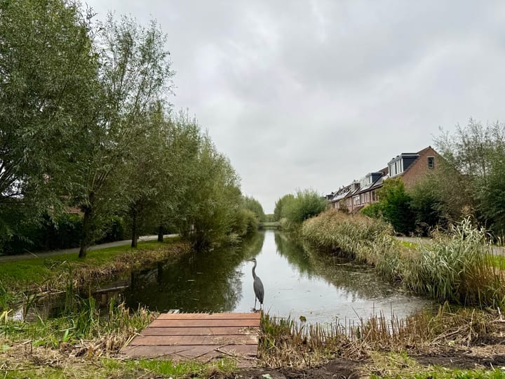 Foto 45 van Loevestein 53