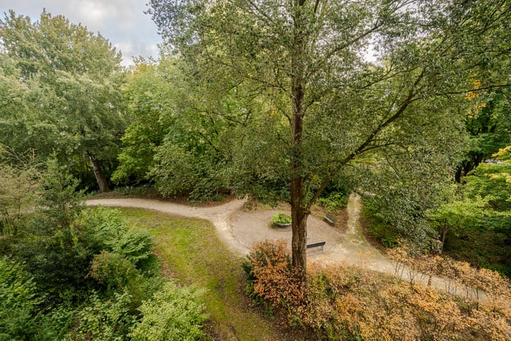 Photo 3 of Amerbos 36