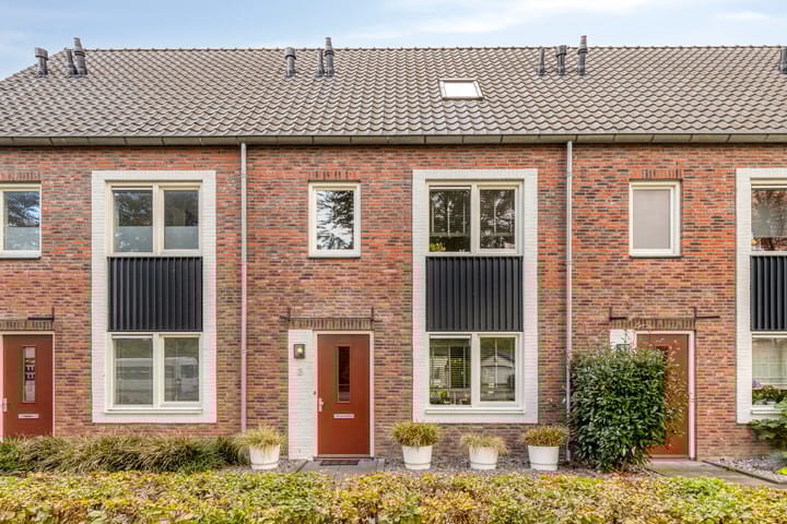 Foto 32 van Aerdmennekesbaan 3