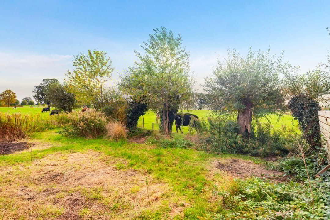 Foto 8 van Prunushof 34