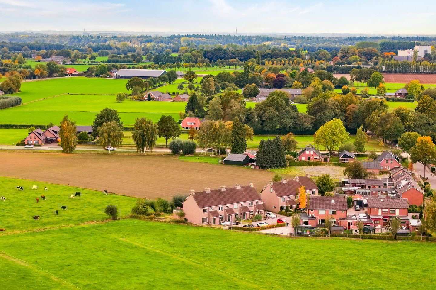 Foto 34 van Prunushof 34