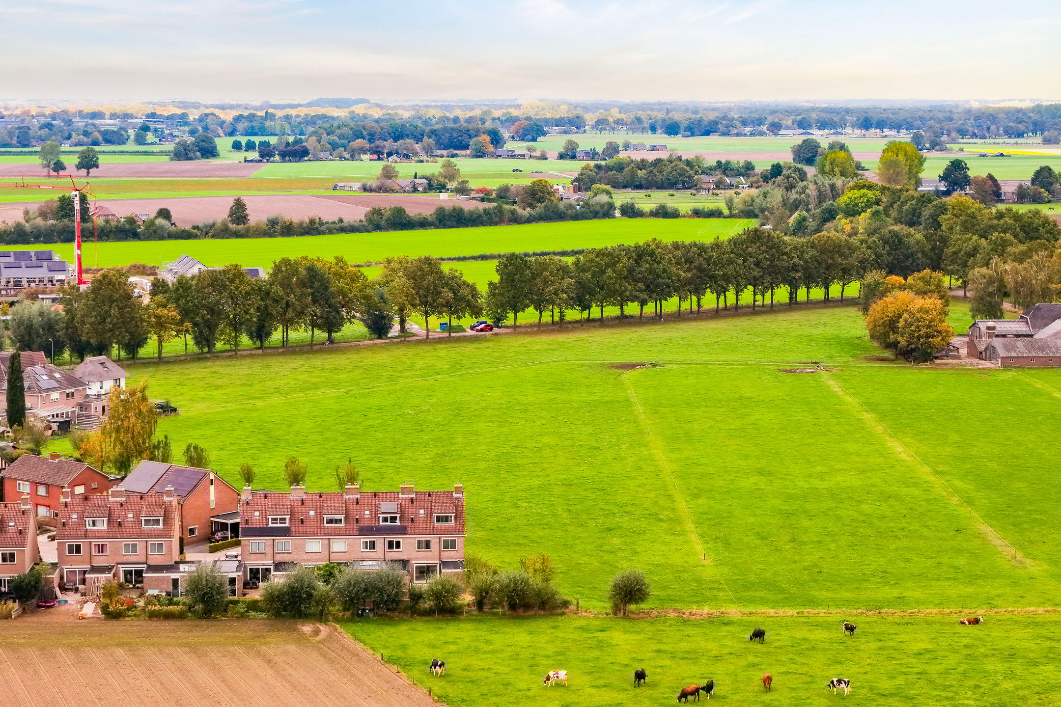 Foto 36 van Prunushof 34