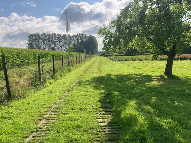 Foto 1 van Oude Aaltenseweg 52