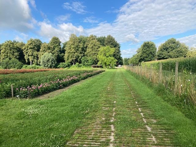 Foto 3 van Oude Aaltenseweg 52