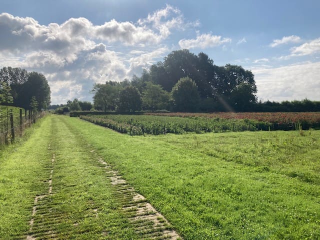 Foto 5 van Oude Aaltenseweg 52