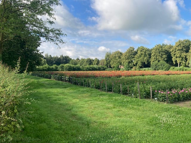 Foto 7 van Oude Aaltenseweg 52