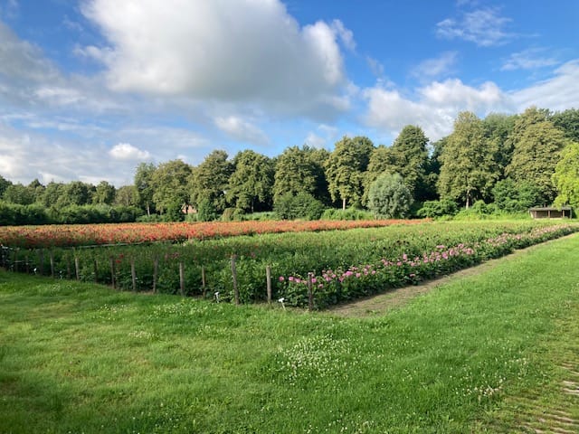 Foto 8 van Oude Aaltenseweg 52