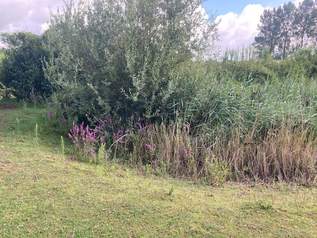 Foto 10 van Oude Aaltenseweg 52