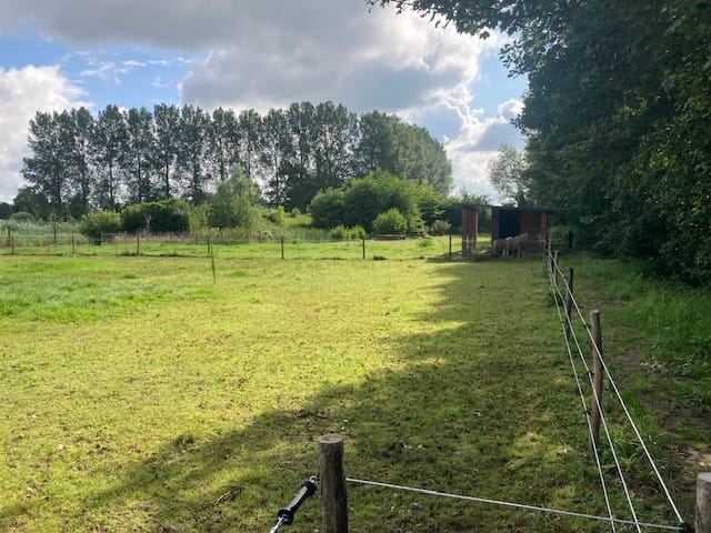 Foto 15 van Oude Aaltenseweg 52