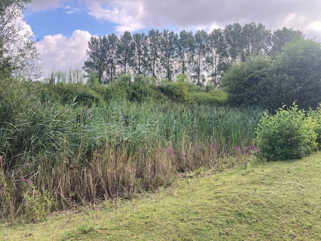 Foto 9 van Oude Aaltenseweg 52