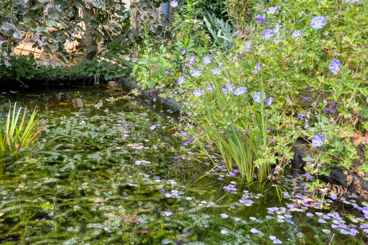 Photo 35 of Klarinet 351