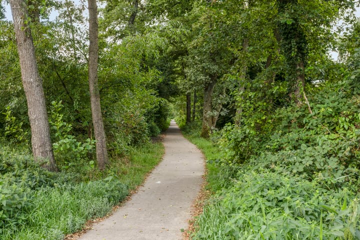 Photo 42 of Klarinet 351