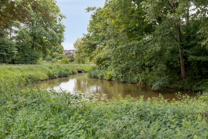 Photo 43 of Klarinet 351