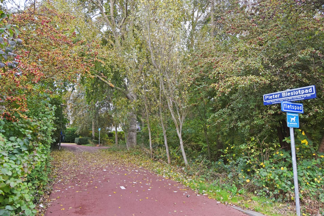 Foto 47 van Van der Goeslaan 7