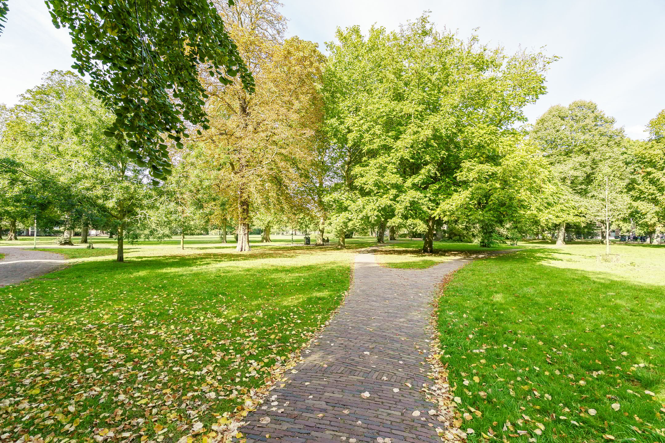 Foto 39 van Kamperstraat 3