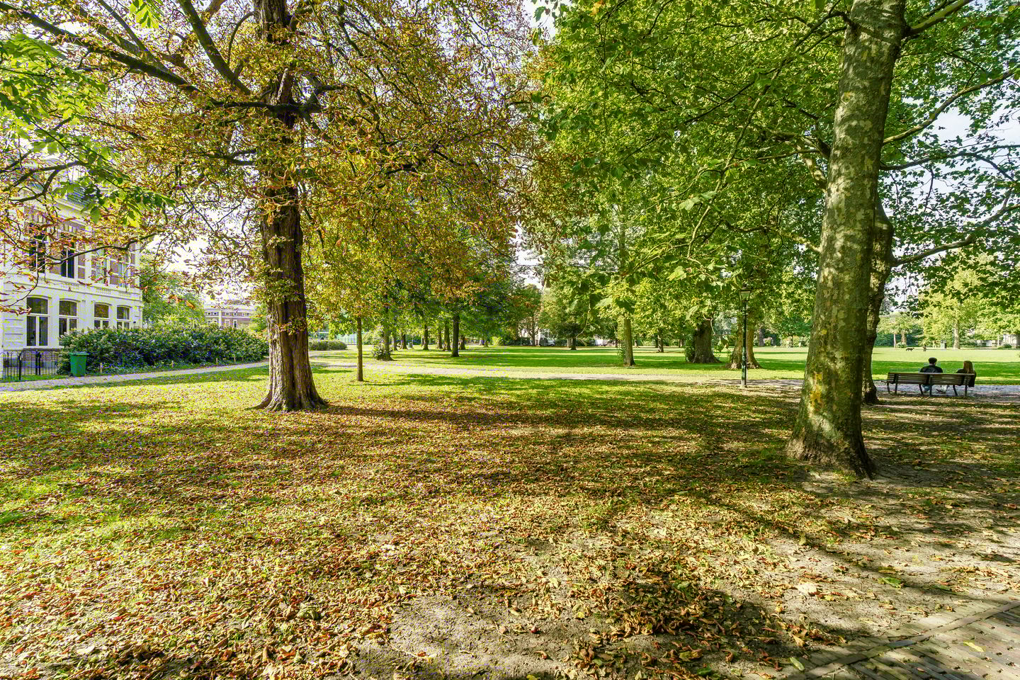 Foto 40 van Kamperstraat 3