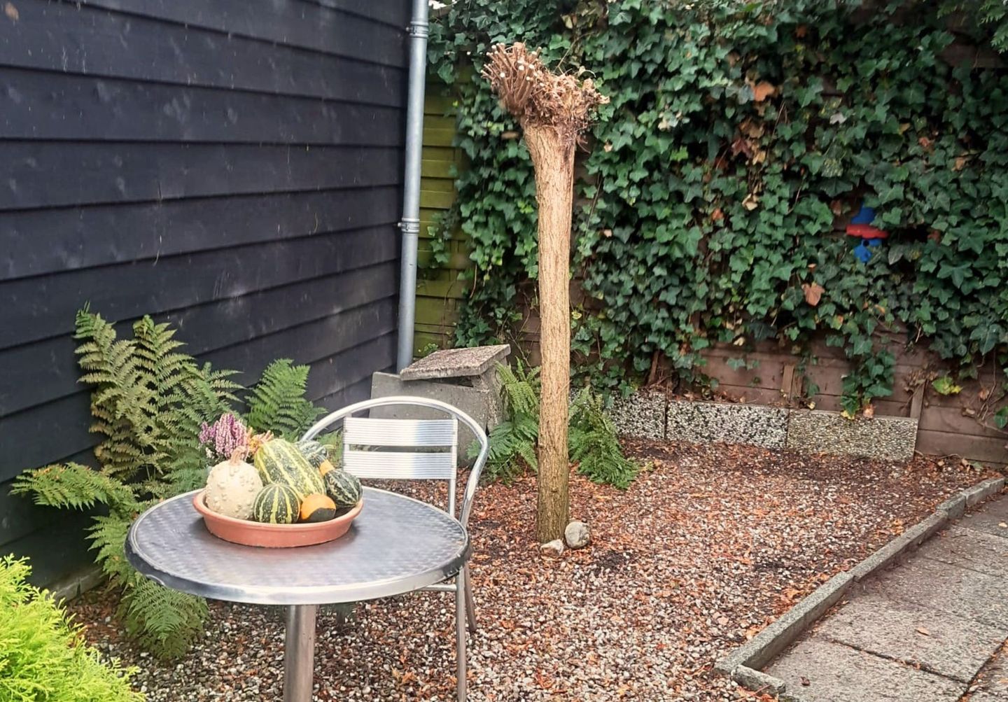 Foto 29 van Halfweg 12