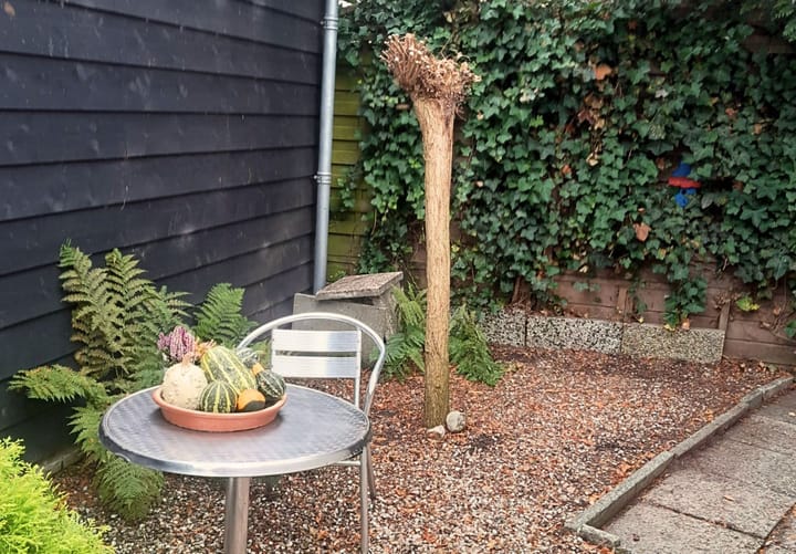 Foto 29 van Halfweg 12