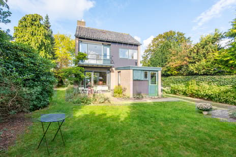 undefined main image