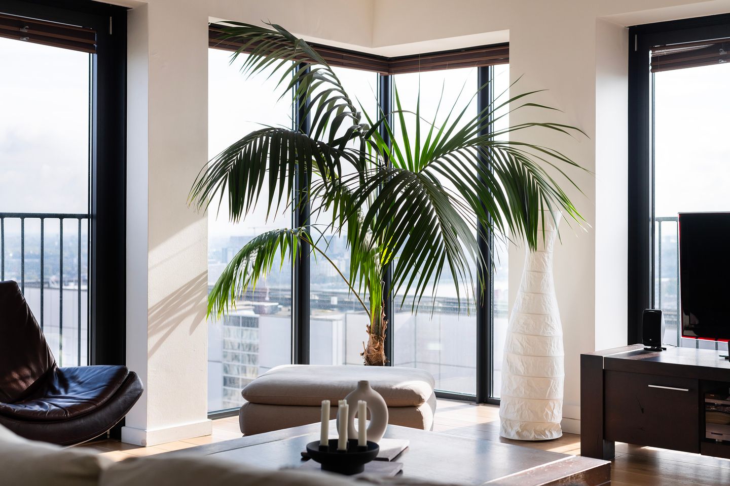 Foto 10 van Wijnbrugstraat 290