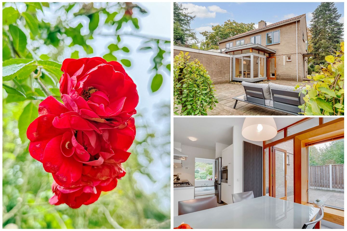 Foto 25 van Eikenlaan 5