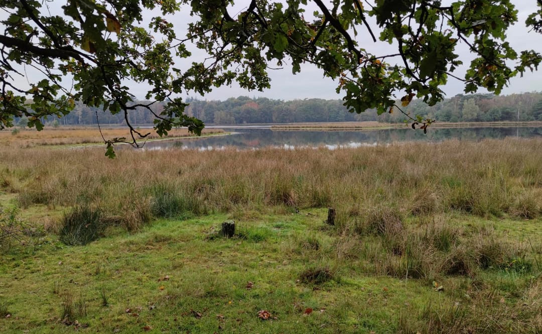 Foto 46 van Eikenlaan 5