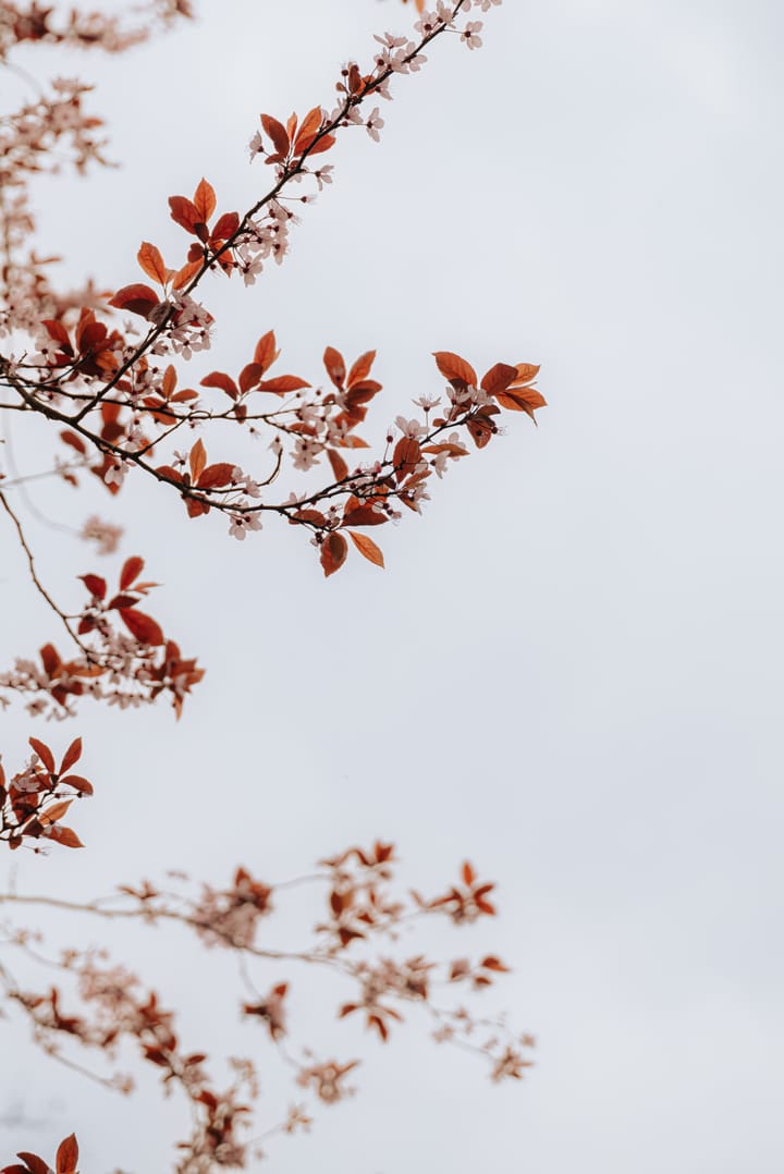 Foto 61 van Prinsengracht 655-B