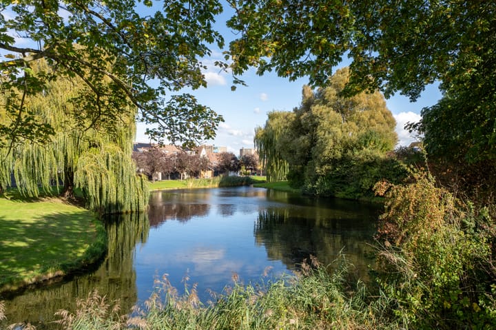 Foto 43 van Muiderslotpad 98