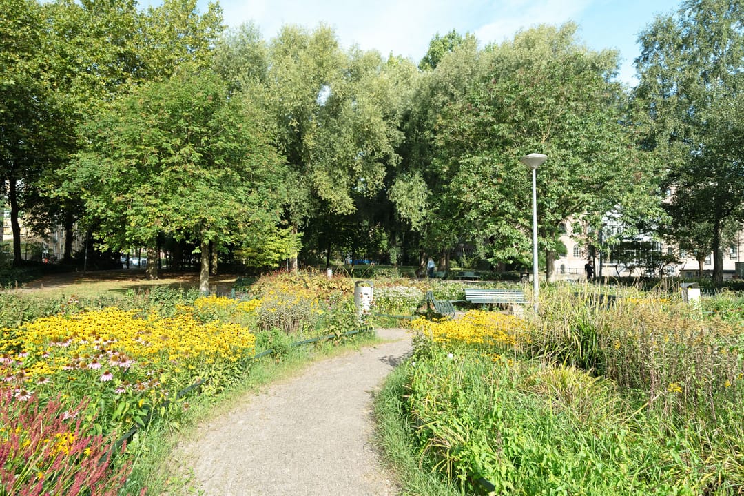 Foto 23 van Czaar Peterstraat 37-E