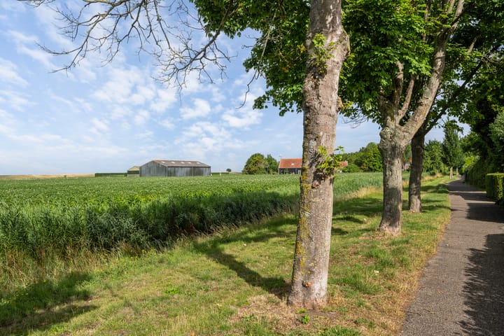 Photo 38 of Gladiolenstraat 7