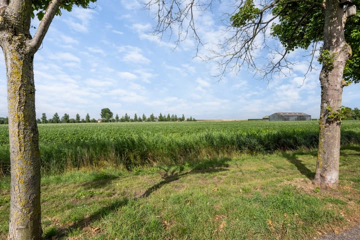 Photo 39 of Gladiolenstraat 7