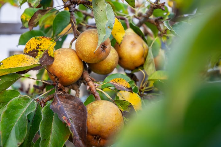 Foto 38 van Byronstraat 38