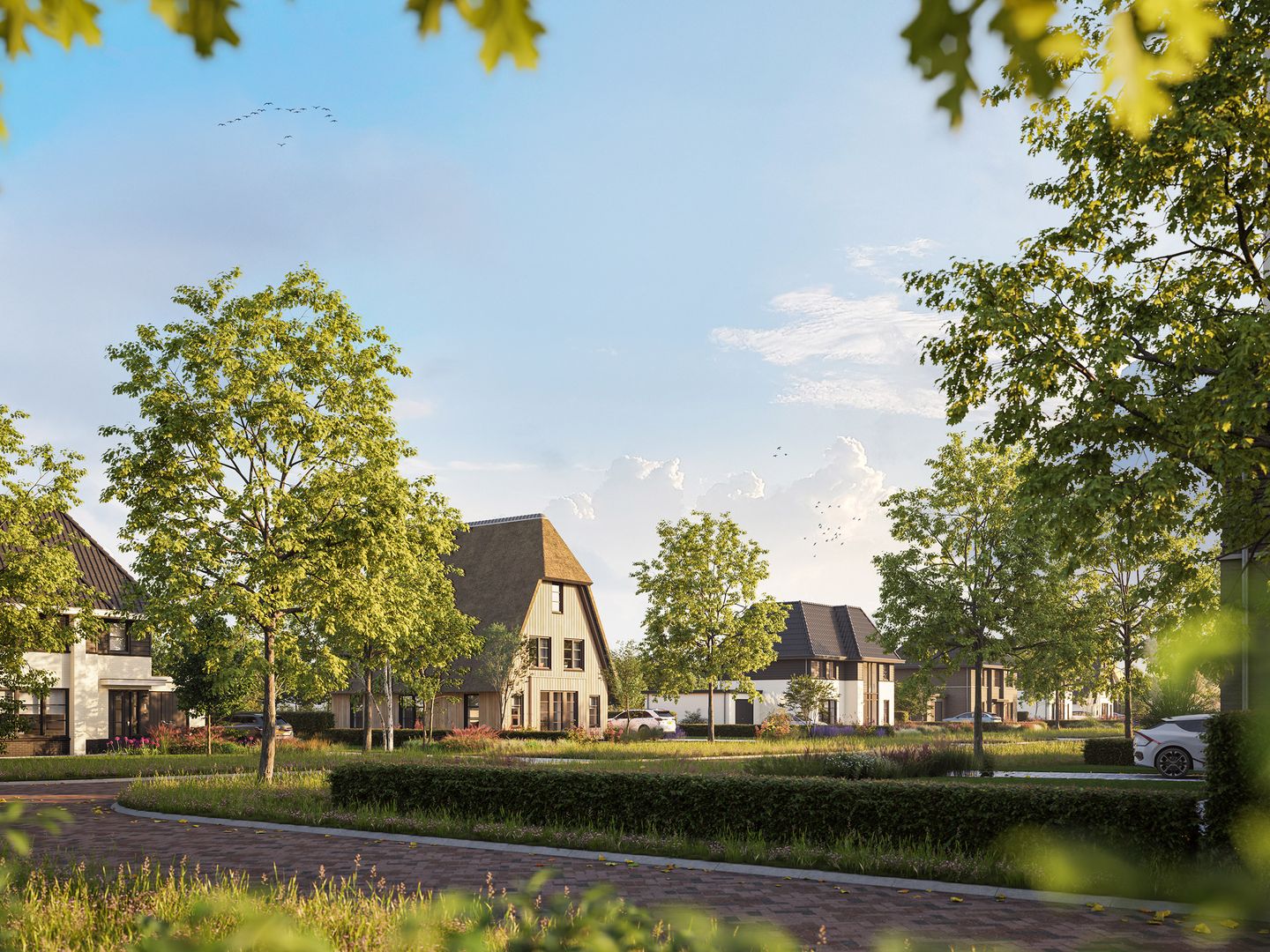 Photo 3 of LOOV - Overgooi