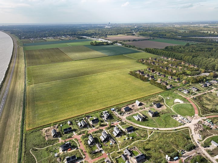 Photo 20 of LOOV - Overgooi